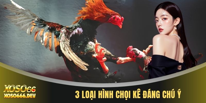 Đá gà XOSO66 2 3 loại hình chọi kê đáng chú ý